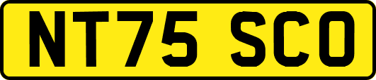 NT75SCO