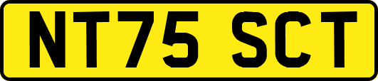 NT75SCT