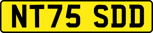 NT75SDD