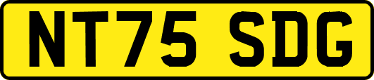 NT75SDG
