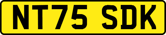 NT75SDK