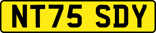 NT75SDY