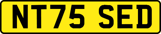 NT75SED