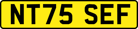 NT75SEF