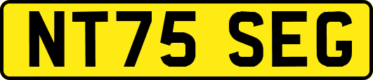 NT75SEG