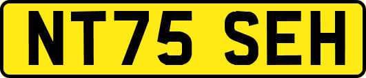 NT75SEH