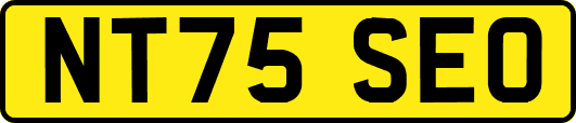NT75SEO