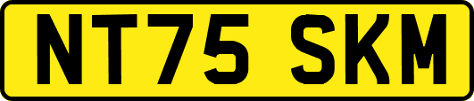 NT75SKM