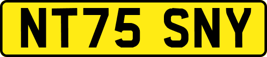 NT75SNY
