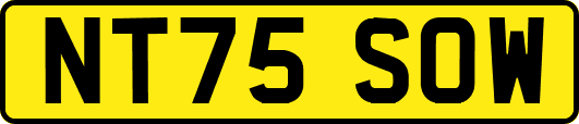 NT75SOW
