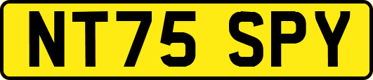 NT75SPY