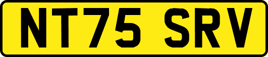 NT75SRV