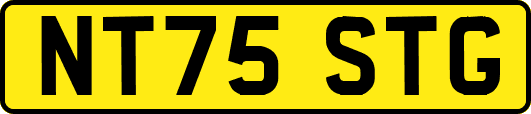 NT75STG