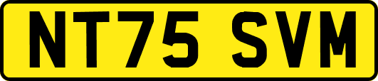 NT75SVM