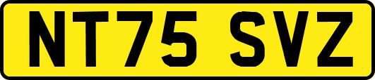 NT75SVZ