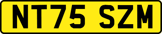NT75SZM