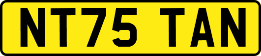 NT75TAN