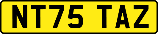 NT75TAZ