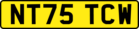 NT75TCW