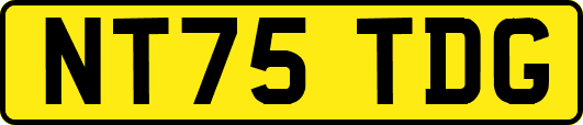 NT75TDG