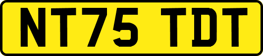 NT75TDT