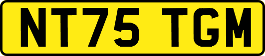 NT75TGM