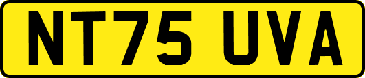 NT75UVA