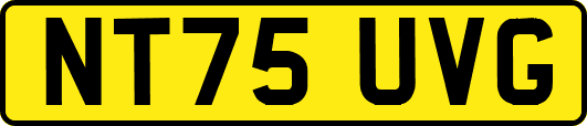 NT75UVG