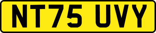 NT75UVY