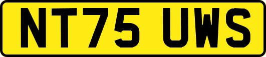 NT75UWS