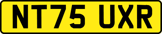 NT75UXR