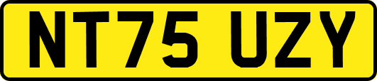 NT75UZY
