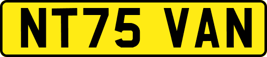 NT75VAN