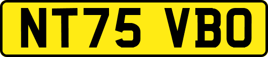 NT75VBO