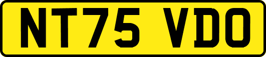 NT75VDO