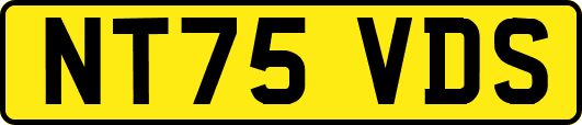 NT75VDS