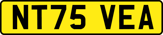 NT75VEA