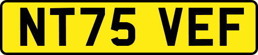 NT75VEF