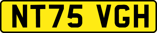 NT75VGH