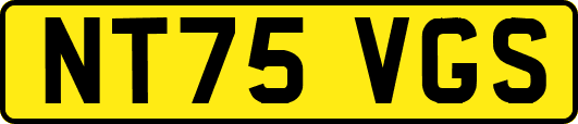 NT75VGS