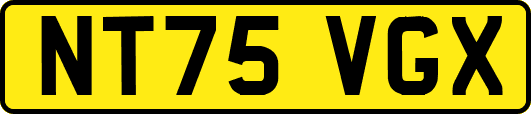 NT75VGX