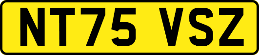 NT75VSZ