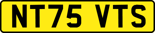NT75VTS