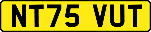 NT75VUT