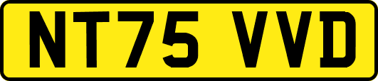 NT75VVD