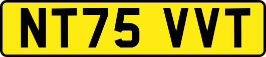 NT75VVT