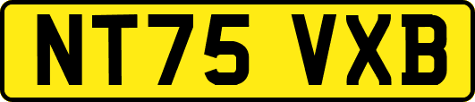 NT75VXB