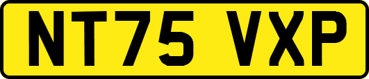 NT75VXP