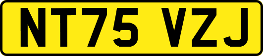 NT75VZJ