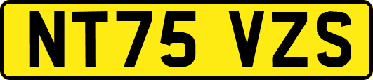 NT75VZS